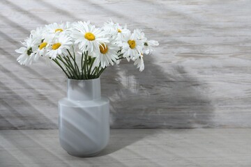 Beautiful chamomile flowers in vase on grey wooden table, closeup. Space for text