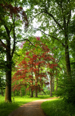 Fototapete bei efototapeten.de bestellen   