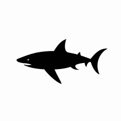 Obraz premium Majestic great white swimming in ocean, presented as a powerful silhouette
