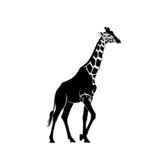Elegant giraffe silhouette for striking logo design and bold brand visuals in wildlife conservation projects or unique safari-themed decor elements