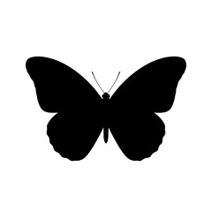 Elegant black butterfly silhouette with delicate wings, perfect for modern designs and nature-inspired projects, a timeless symbol of transformation