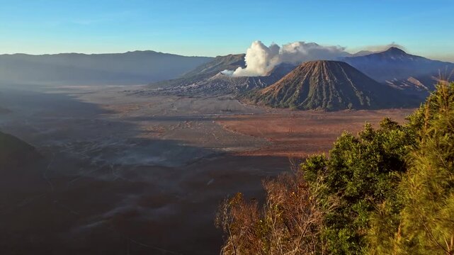 Aerial view fly through a tree to reveal Bromo volcano crater, Indonesia