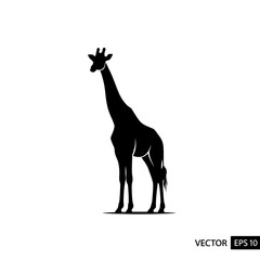 Stunning giraffe silhouette against a clean white backdrop, perfect for branding, wildlife projects, and minimalist design needs