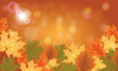 autumn background with leaves
