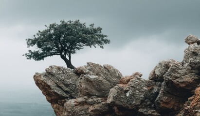 Lonely tree atop a rocky precipice under a cloudy sky