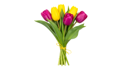 A vibrant bouquet of purple and yellow tulips tied with a yellow ribbon, isolated on a transparent background