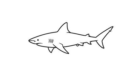 Simple Line Drawing of a Shark with Distinctive Fins and Gills.