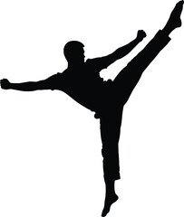 Silhouette of martial artist executing high kick representing strength, focus, discipline, combat skill, agility, fitness, power, and training.