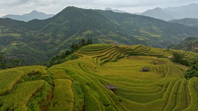 Aerial drone flying forward and tilt up to reveal terraced rice fields, Vietnam