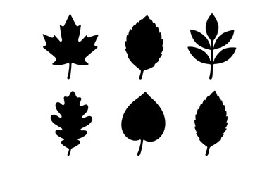 Silhouette collection of diverse leaf shapes for nature designs