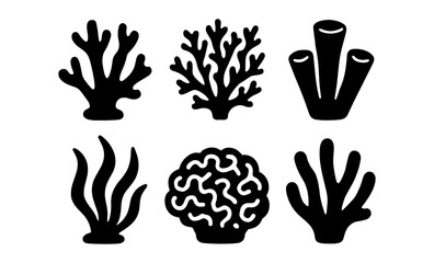 Fototapeta premium Silhouette seaweed and coral collection for marine designs