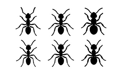 Silhouette collection of six ants in various poses on white background