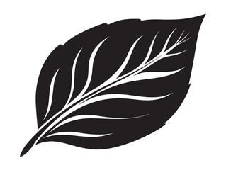 Obraz premium Natural Solid Black Leaf Icon Silhouette Vector Artwork