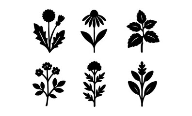 Silhouette herbal icons: collection of medicinal plant silhouettes for natural designs