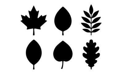 Obraz premium Collection of leaf silhouettes: maple, birch, oak, and more