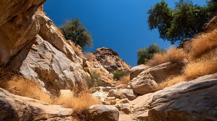 Sunny vista down a rocky canyon, showcasing dry, golden grasses, and towering sandstone cliffs.