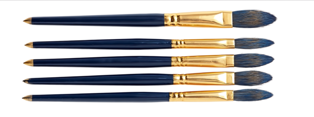 Set of five art brushes with dark blue bristles and golden tips isolated on a white background viewed from above