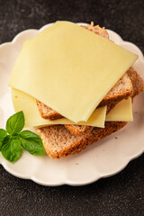 Sandwich cheese tasty snack fresh delicious gourmet food background on the table rustic top view copy space