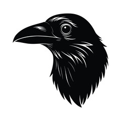 Fototapeta premium eagle head vector illustration