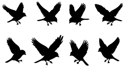 Obraz premium Hunting sparrow bird silhouette set outline