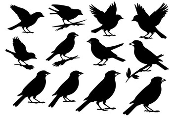 Fototapeta premium Sparrow silhouette set sitting, flying and hunting bird outline in different poses