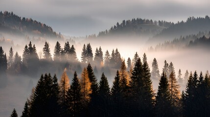 A tranquil vista of a misty mountain range, featuring coniferous trees in a soft light, hinting at a serene morning.