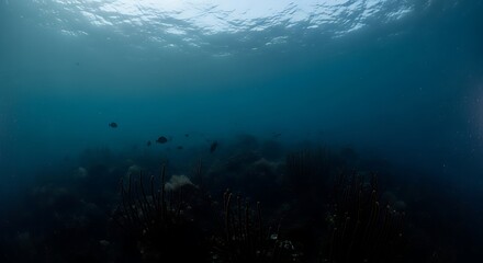 Fototapeta premium Underwater Scene with Sunlit Surface and Dark Depths.