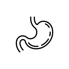 Fototapeta premium Human stomach organ illustration with outline isolated on white background for medical education and healthcare content depicting digestion and anatomy