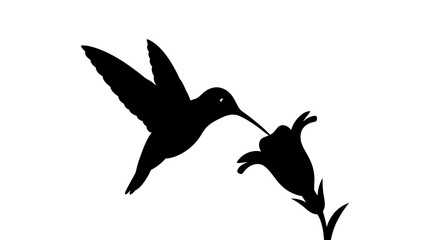 Minimalist black silhouette of a hummingbird hovering and drinking nectar from a flower.
