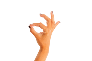 hands isolated on background