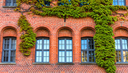 Red Brick Building Facade with Arched Windows and Climbing Ivy