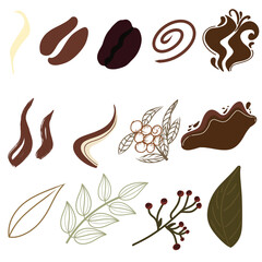 coffee beans and leaves