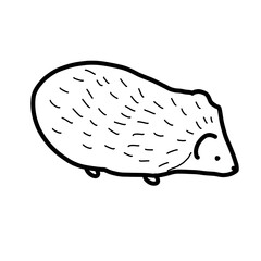 hedgehog woodland animal forest living habitat natural hand drawn

