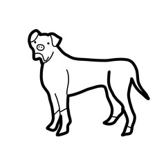 bulldog high leg animal cute hand drawn organic line natural
