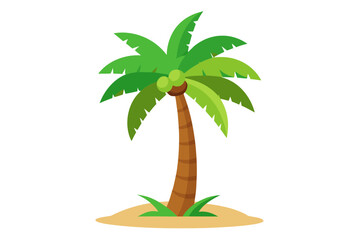 palm tree vector illustration
