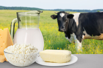 Fresh dairy on table and cow in nature
