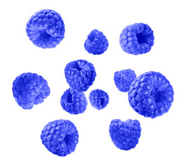 Fresh blue raspberries flying on white background