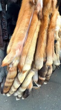 Vibrant collection of fur pelts showcasing rich textures and colors in a continuous display