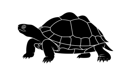 Silhouette of a Walking Tortoise with Detailed Shell.