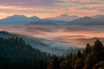 Obraz premium Misty mountain forest sunrise mountains