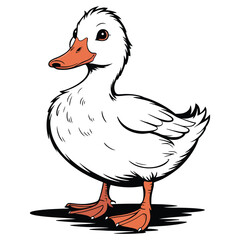 duck isolated on white