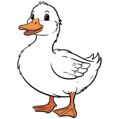duck 