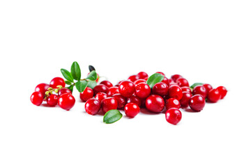 Ripe shiny lingonberries with leaves isolated on white background.