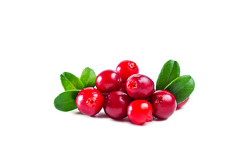 Ripe shiny lingonberries with leaves isolated on white background.