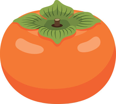 Vibrant orange persimmon fruit fresh ripe healthy food sweet autumn harvest vector