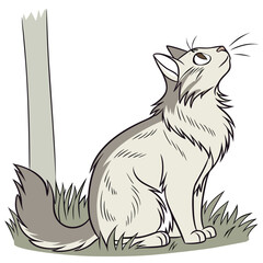 A curious fluffy grey cat sits attentively in green grass looking upwards towards the sky