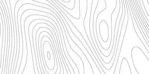 Abstract white topographic contour map background, luxury modern wave curve design, seamless grid illustration for geography and technology theme