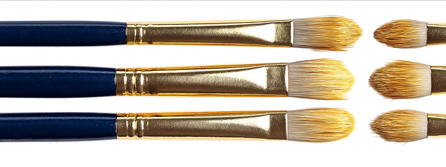 Set of five dark blue art brushes with golden bristles on a white background top view Highresolution photograph
