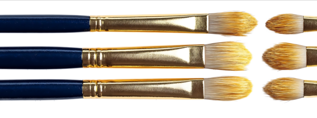Set of five dark blue art brushes with golden bristles on a white background top view Highresolution photograph