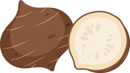 Taro root whole and cut isometric illustration healthy organic food ingredient vector